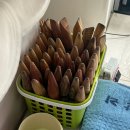 강남 도곡동 마사지 송파 역삼 기적의 인도 발마사지 60분 관리 후기