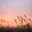 자임부부한의원 이미지