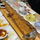 서서자는물고기 이미지