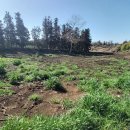 안성리-10 이미지