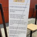 멍스 컨테이너 | 일산 중&amp;대형견 전용 실내&amp;야외 잔디 운동장 멍스컨테이너 내돈내산 이용후기