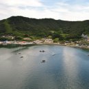 숲속의둥지 이미지