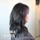 서경빌딩 | 잠실새내역 미용실 복구헤어 레이어드 컷 C컬펌 가격 솔직 후기
