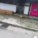 이미숙프로헤어