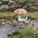 세르니띠 이미지