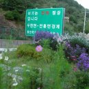 잦나무목장 Daum카페