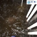 인화기업 이미지
