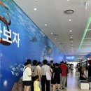 빛나라도서관 | 씨라이프 코엑스 아쿠아리움_해양탐험선,인어공주 공연🦈🧜‍♀️🐠+별마당도서관 영접&amp;귀칼 포토존ㅋㅋㅋㅋ
