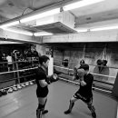 설봉복싱 이미지