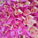 강산메디칼 이미지