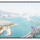 W센트럴공인중개사사무소 이미지