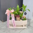 flowerstory