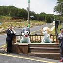 국립김천숲속야영장 이미지