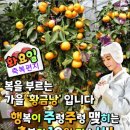 - 황금낭과 함께 전하는 축복의 메시지-보고또봐도 좋은글 이미지