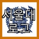 서울대문구