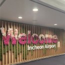 꽃파는 아저씨 | KLM 네덜란드 항공 이용후기 ✈️ | 암스테르담 스키폴공항 경유 후기