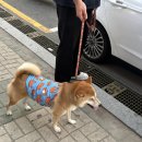 주은헤어샵 이미지