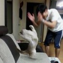 영빌딩 | 🩵헤이영 서포터즈 4기 발대식 후기🩵