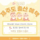 읍사무소 | 2026 제주도 출산•육아 혜택 [ 실제 혜택받은 후기 업데이트 ]