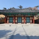 오충사 이미지