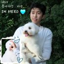 대장 땡큐! 오늘도 전하는 위로💎 ❤️+댓글 🙏 이미지