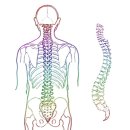 오케이의원 이미지