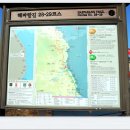 삼척로(호산) Daum카페