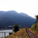 강변길따라 이미지