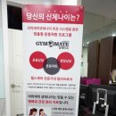 대영레포츠