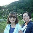 보은슈퍼 이미지
