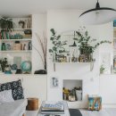 플랜테리어 이미지