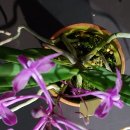 원희농장 이미지