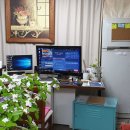 꿀벌아 고마워 공인중개사사무소 이미지