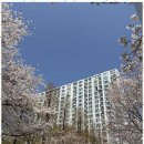 쌍용역하늘채공인중개사사무소 | 중화산동부동산 현대공인중개사와 함께한 편안한 부동산 거래 후기