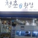 청춘횟집 이미지