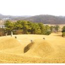 삼절사 Daum카페