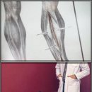 미아연세튼튼마취통증의학과의원 | 구부정 옛 모습 안녕! 거북목 방지 운동으로 활짝 피는 2025 건강