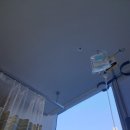 솔보조기의료기상사 | 조기양막파수로 한달+2일간 입원,퇴원 (증상,염증수치,연근가루,호박손즙, 입원준비물,장점,단점,입원...