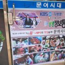 문어시대 이미지
