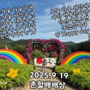 머루랑다래랑 이미지