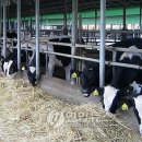 감산축산 이미지