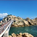 푸른바다 이미지