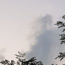 시대공원 이미지