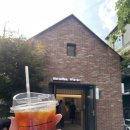 서울숲 신상 카페 더커피 성수 내돈내산 후기