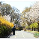 동산화원 이미지