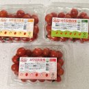 더피팩토리 | 🍅 스테비아 토마토 끝판왕 3종 샤인 팩토리 방울토마토 샤인달콤마토 샤인피치마토 샤인망고마토 먹어...