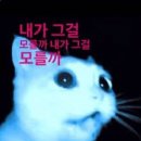 디톡스 콘서트 | 260419 DxS Serenade 도겸x승관 세레나데 콘서트 막콘 후기