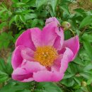 위드파크환경도서관 이미지