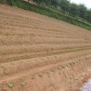 다성부동산공인중개사사무소 이미지