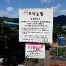 토덕농장 티스토리